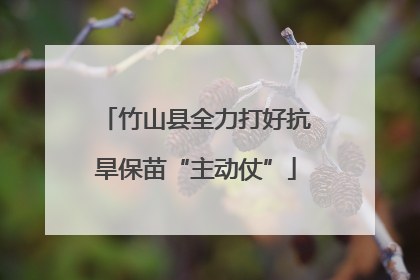 竹山县全力打好抗旱保苗“主动仗”