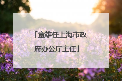 章雄任上海市政府办公厅主任