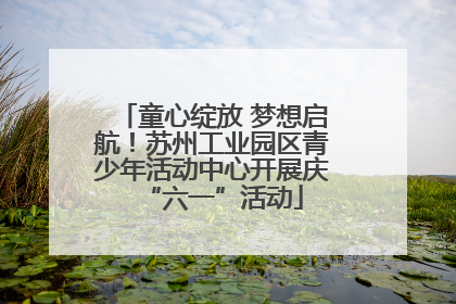 童心绽放 梦想启航！苏州工业园区青少年活动中心开展庆“六一”活动