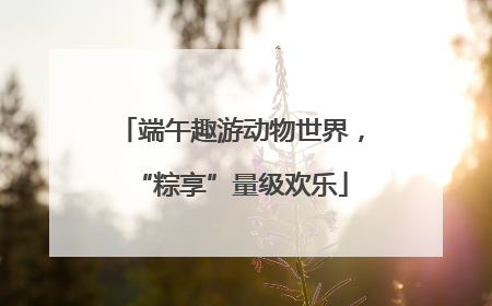 端午趣游动物世界，“粽享”量级欢乐