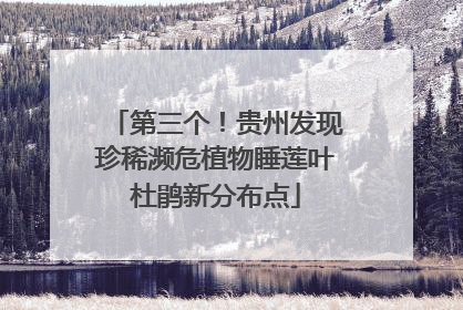 第三个！贵州发现珍稀濒危植物睡莲叶杜鹃新分布点