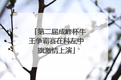 第二届成峰杯牛王争霸赛在科左中旗激情上演