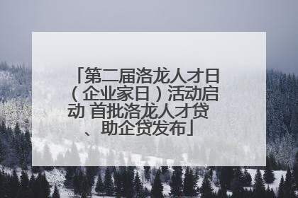 第二届洛龙人才日（企业家日）活动启动 首批洛龙人才贷、助企贷发布