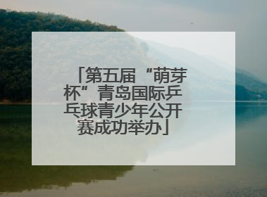 第五届“萌芽杯”青岛国际乒乓球青少年公开赛成功举办