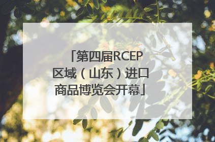 第四届RCEP区域（山东）进口商品博览会开幕