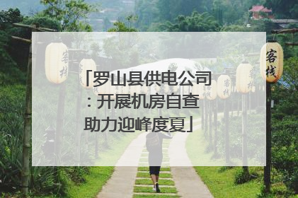 罗山县供电公司：开展机房自查 助力迎峰度夏