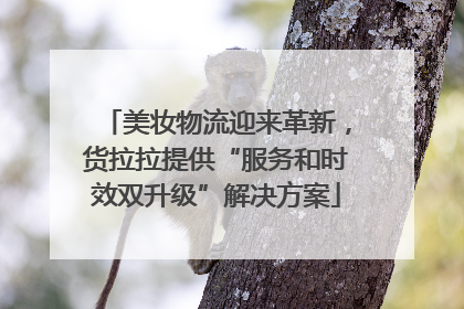 美妆物流迎来革新，货拉拉提供“服务和时效双升级”解决方案