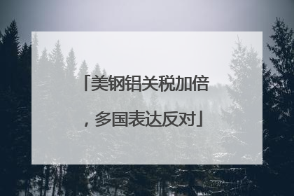 美钢铝关税加倍，多国表达反对