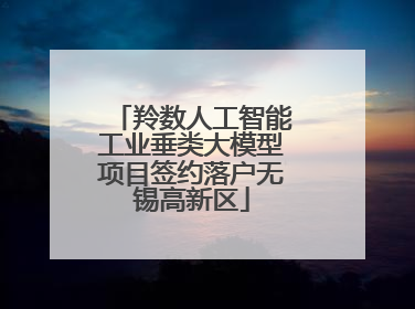 羚数人工智能工业垂类大模型项目签约落户无锡高新区