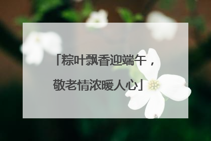 粽叶飘香迎端午，敬老情浓暖人心