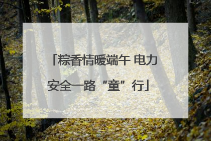 粽香情暖端午 电力安全一路“童”行
