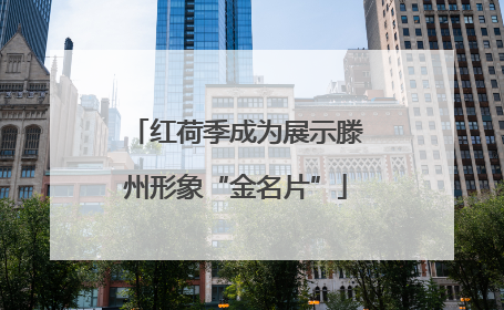 红荷季成为展示滕州形象“金名片”
