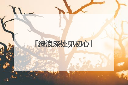 绿浪深处见初心