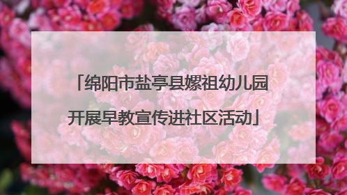 绵阳市盐亭县嫘祖幼儿园开展早教宣传进社区活动