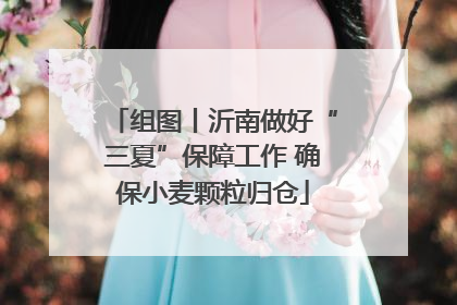 组图丨沂南做好“三夏”保障工作 确保小麦颗粒归仓