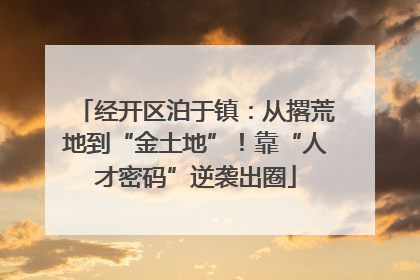 经开区泊于镇：从撂荒地到“金土地”！靠“人才密码”逆袭出圈