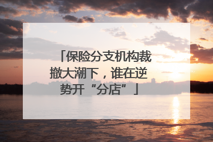 保险分支机构裁撤大潮下，谁在逆势开“分店”