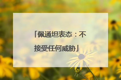 佩通坦表态：不接受任何威胁