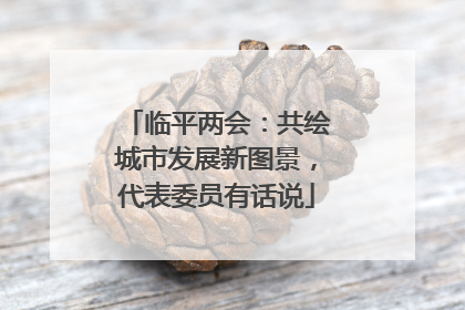 临平两会：共绘城市发展新图景，代表委员有话说