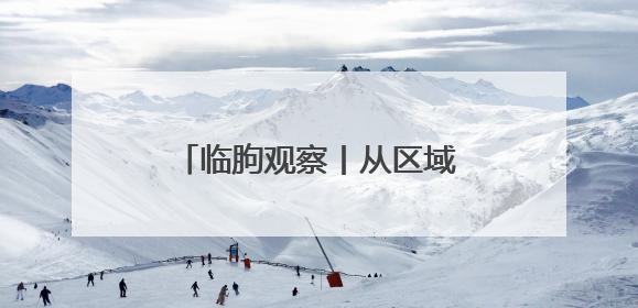 临朐观察丨从区域农产品到国际爆款产品的破局进阶之路