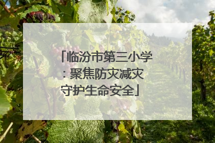 临汾市第三小学：聚焦防灾减灾 守护生命安全