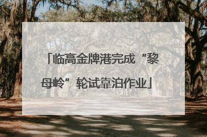 临高金牌港完成“黎母岭”轮试靠泊作业