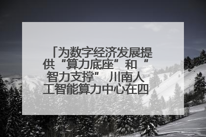 为数字经济发展提供“算力底座”和“智力支撑” 川南人工智能算力中心在四川泸州启动