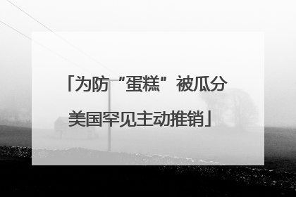 为防“蛋糕”被瓜分 美国罕见主动推销