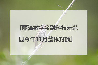 丽泽数字金融科技示范园今年11月整体封顶