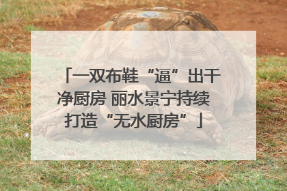 一双布鞋“逼”出干净厨房 丽水景宁持续打造“无水厨房”