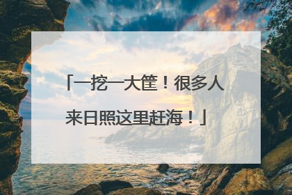 一挖一大筐！很多人来日照这里赶海！