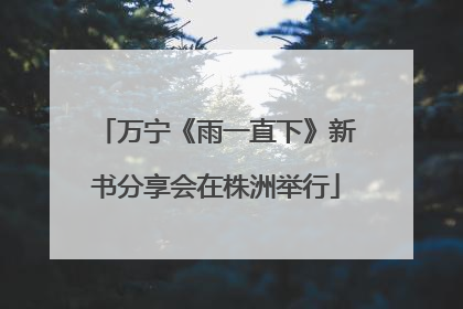 万宁《雨一直下》新书分享会在株洲举行