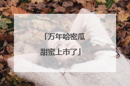 万年哈密瓜甜蜜上市了