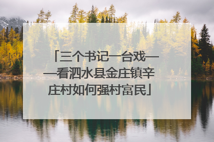 三个书记一台戏——看泗水县金庄镇辛庄村如何强村富民