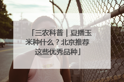三农科普｜夏播玉米种什么？北京推荐这些优秀品种