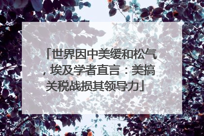 世界因中美缓和松气，埃及学者直言：美搞关税战损其领导力