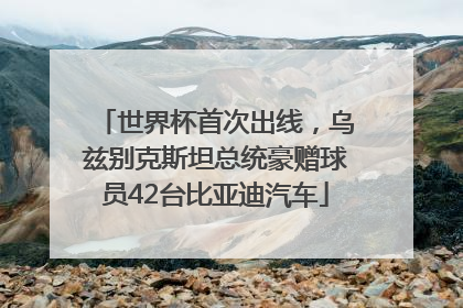 世界杯首次出线，乌兹别克斯坦总统豪赠球员42台比亚迪汽车