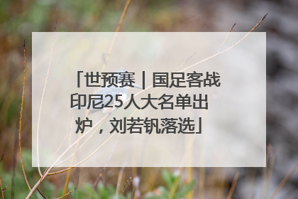 世预赛｜国足客战印尼25人大名单出炉，刘若钒落选