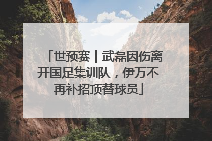 世预赛｜武磊因伤离开国足集训队，伊万不再补招顶替球员