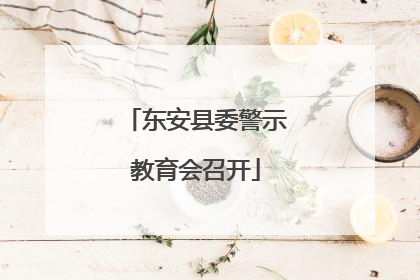 东安县委警示教育会召开