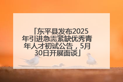 东平县发布2025年引进急需紧缺优秀青年人才初试公告，5月30日开展面谈