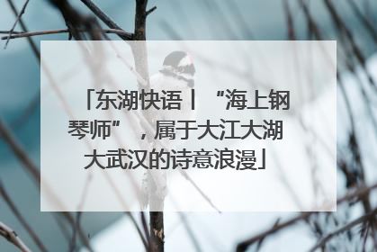 东湖快语丨“海上钢琴师”，属于大江大湖大武汉的诗意浪漫