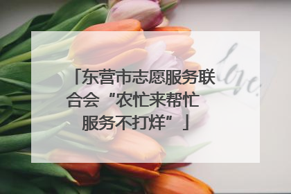 东营市志愿服务联合会“农忙来帮忙 服务不打烊”