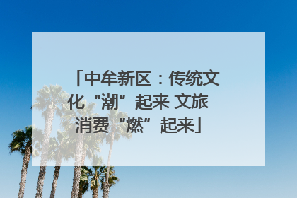 中牟新区：传统文化“潮”起来 文旅消费“燃”起来