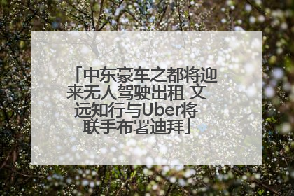 中东豪车之都将迎来无人驾驶出租 文远知行与Uber将联手布署迪拜