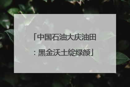 中国石油大庆油田：黑金沃土绽绿颜