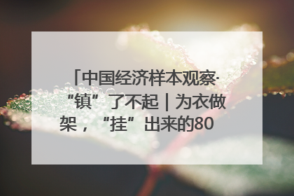 中国经济样本观察·“镇”了不起｜为衣做架，“挂”出来的80亿元“衣架产业”
