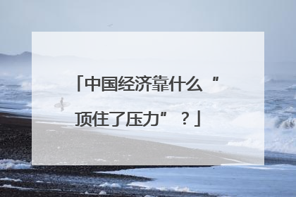 中国经济靠什么“顶住了压力”？