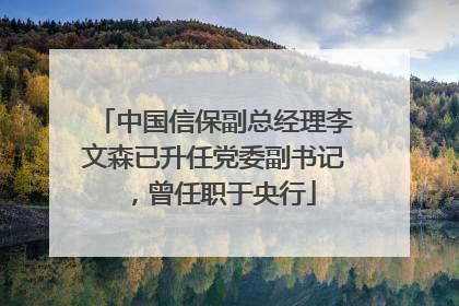 中国信保副总经理李文森已升任党委副书记，曾任职于央行