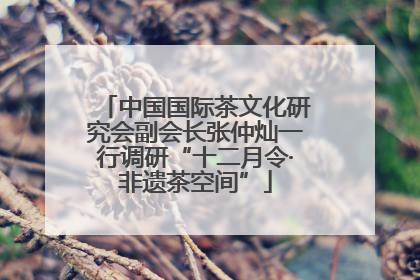 中国国际茶文化研究会副会长张仲灿一行调研“十二月令·非遗茶空间”